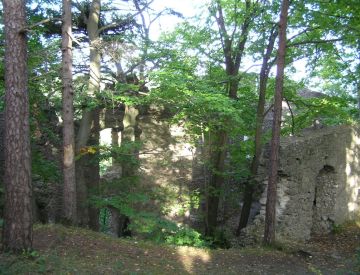 Burgen / Schlösser - Burgruine Wildenfels