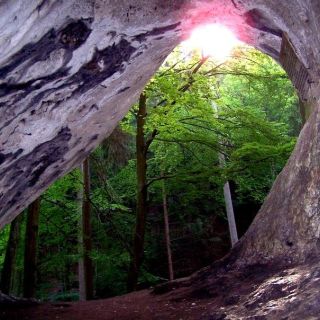 Hasenlochhöhle - Hasenlochhöhle Pottenstein in der ErlebnisRegion Fränkische Schweiz