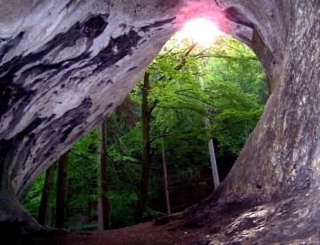 Höhlen - Hasenlochhöhle Pottenstein
